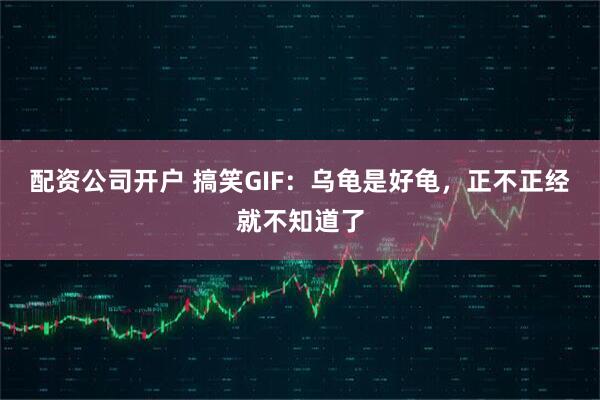 配资公司开户 搞笑GIF:乌龟是好龟,正不正经就不知道了