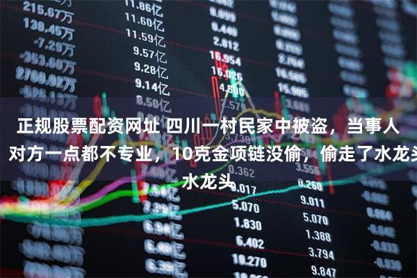 正规股票配资网址 四川一村民家中被盗，当事人：对方一点都不专业，10克金项链没偷，偷走了水龙头