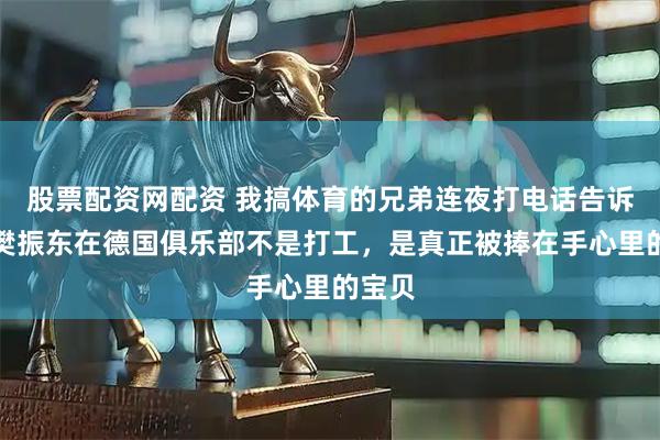 股票配资网配资 我搞体育的兄弟连夜打电话告诉我，樊振东在德国俱乐部不是打工，是真正被捧在手心里的宝贝