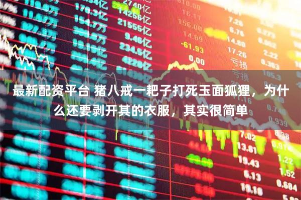 最新配资平台 猪八戒一耙子打死玉面狐狸,为什么还要剥开其的衣服,其实很简单